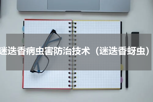 迷迭香病虫害防治技术（迷迭香蚜虫）