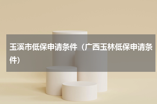 玉溪市低保申请条件（广西玉林低保申请条件）