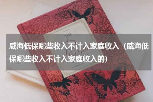 威海低保哪些收入不计入家庭收入（威海低保哪些收入不计入家庭收入的）