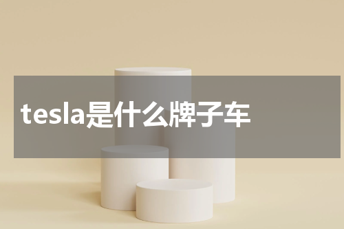 tesla是什么牌子车