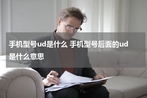 手机型号ud是什么 手机型号后面的ud是什么意思