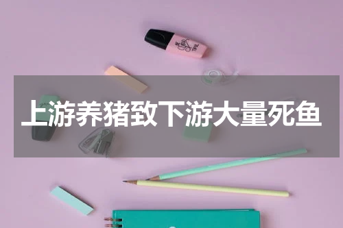 上游养猪致下游大量死鱼