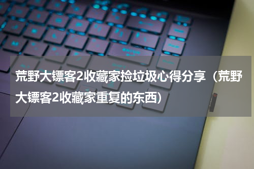 荒野大镖客2收藏家捡垃圾心得分享（荒野大镖客2收藏家重复的东西）