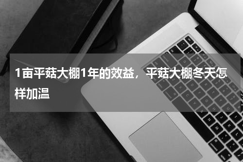 1亩平菇大棚1年的效益，平菇大棚冬天怎样加温