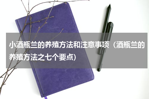小酒瓶兰的养殖方法和注意事项（酒瓶兰的养殖方法之七个要点）