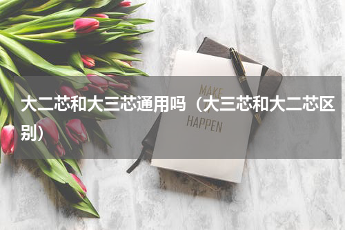 大二芯和大三芯通用吗（大三芯和大二芯区别）