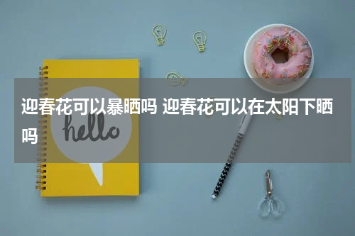 迎春花可以暴晒吗 迎春花可以在太阳下晒吗