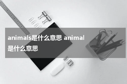 animals是什么意思 animal是什么意思