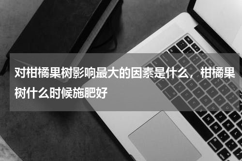 对柑橘果树影响最大的因素是什么，柑橘果树什么时候施肥好