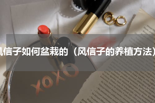 风信子如何盆栽的（风信子的养植方法）