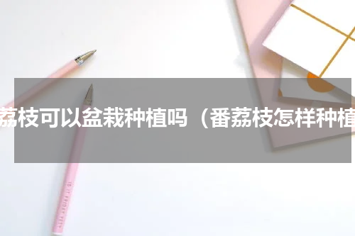 番荔枝可以盆栽种植吗（番荔枝怎样种植）