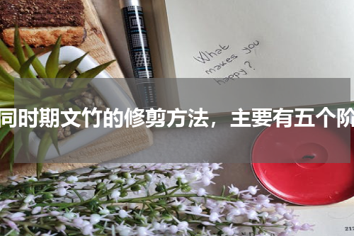 不同时期文竹的修剪方法，主要有五个阶段