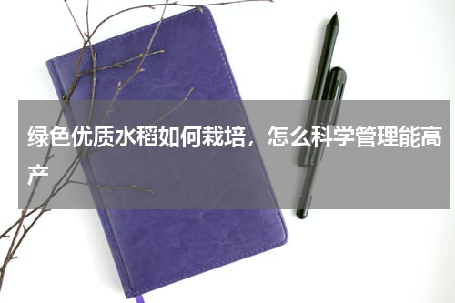 绿色优质水稻如何栽培，怎么科学管理能高产