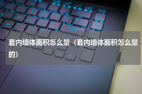 套内墙体面积怎么量（套内墙体面积怎么量的）