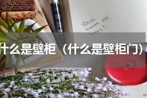 什么是壁柜（什么是壁柜门）