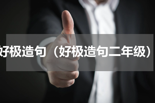 好极造句（好极造句二年级）