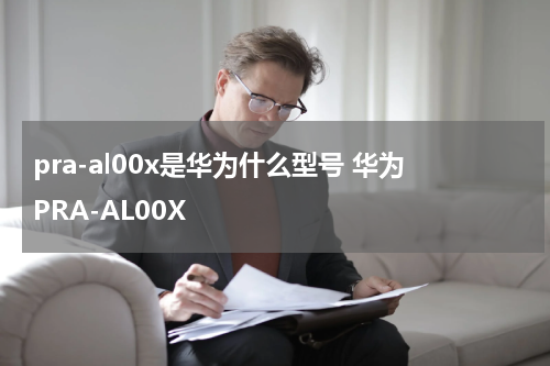 pra-al00x是华为什么型号 华为PRA-AL00X