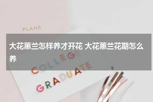 大花蕙兰怎样养才开花 大花蕙兰花期怎么养