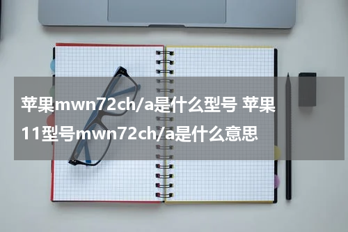 苹果mwn72ch/a是什么型号 苹果11型号mwn72ch/a是什么意思