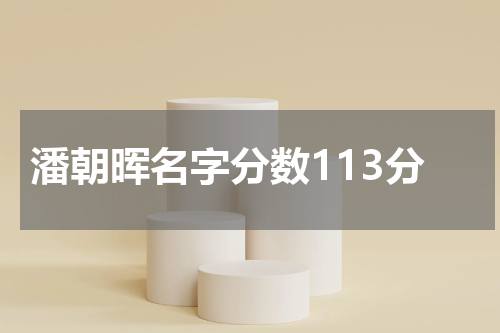 潘朝晖名字分数113分