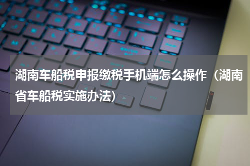 湖南车船税申报缴税手机端怎么操作（湖南省车船税实施办法）