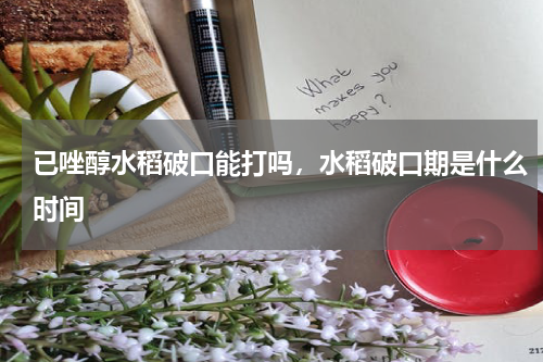 已唑醇水稻破口能打吗，水稻破口期是什么时间