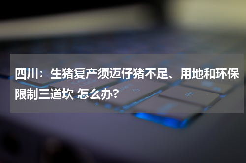 四川：生猪复产须迈仔猪不足、用地和环保限制三道坎 怎么办?