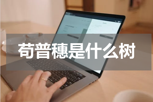 苟普穗是什么树