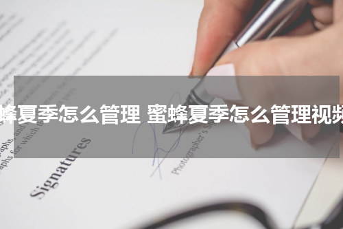 蜜蜂夏季怎么管理 蜜蜂夏季怎么管理视频