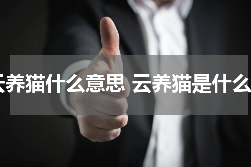 云养猫什么意思 云养猫是什么