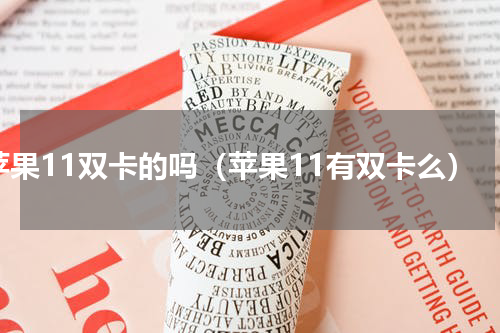 苹果11双卡的吗（苹果11有双卡么）