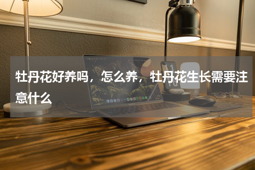 牡丹花好养吗，怎么养，牡丹花生长需要注意什么