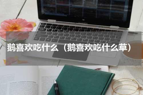 鹅喜欢吃什么（鹅喜欢吃什么草）