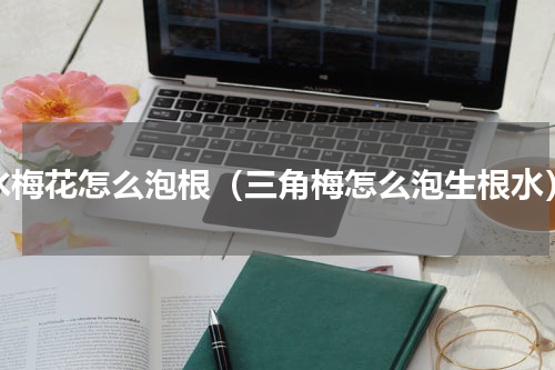 水梅花怎么泡根（三角梅怎么泡生根水）