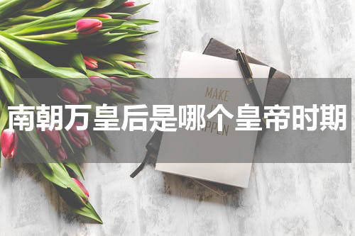 南朝万皇后是哪个皇帝时期