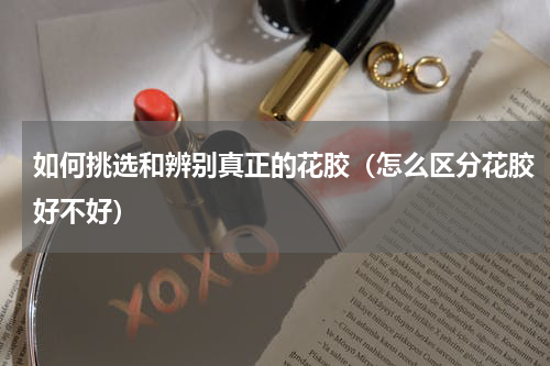 如何挑选和辨别真正的花胶（怎么区分花胶好不好）