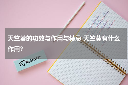 天竺葵的功效与作用与禁忌 天竺葵有什么作用?