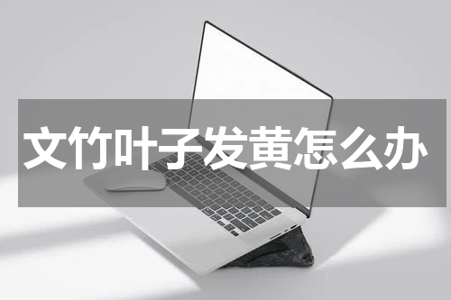 文竹叶子发黄怎么办