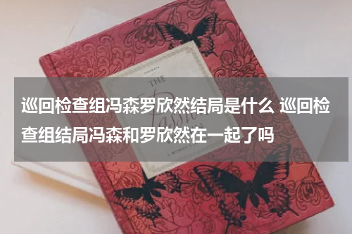 巡回检查组冯森罗欣然结局是什么 巡回检查组结局冯森和罗欣然在一起了吗