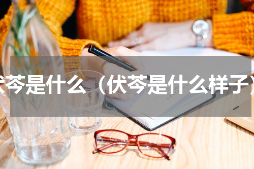 伏芩是什么（伏芩是什么样子）