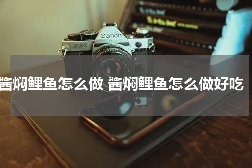 酱焖鲤鱼怎么做 酱焖鲤鱼怎么做好吃