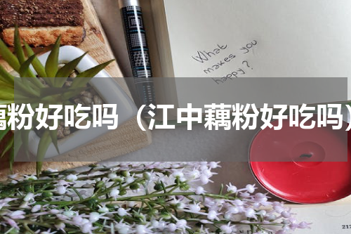 藕粉好吃吗（江中藕粉好吃吗）
