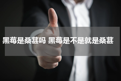 黑莓是桑葚吗 黑莓是不是就是桑葚