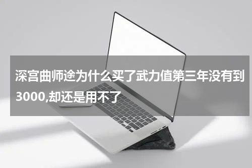 深宫曲师途为什么买了武力值第三年没有到3000,却还是用不了