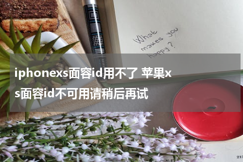 iphonexs面容id用不了 苹果xs面容id不可用请稍后再试