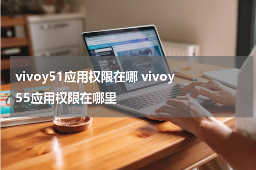 vivoy51应用权限在哪 vivoy55应用权限在哪里