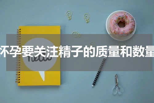 怀孕要关注精子的质量和数量