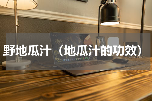 野地瓜汁（地瓜汁的功效）