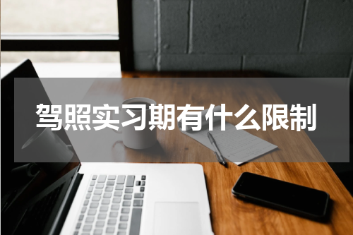 驾照实习期有什么限制