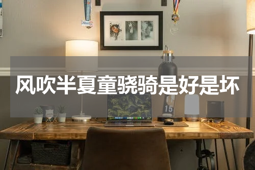 风吹半夏童骁骑是好是坏